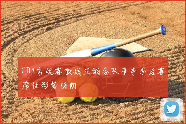 CBA常规赛激战正酣各队争夺季后赛席位形势明朗