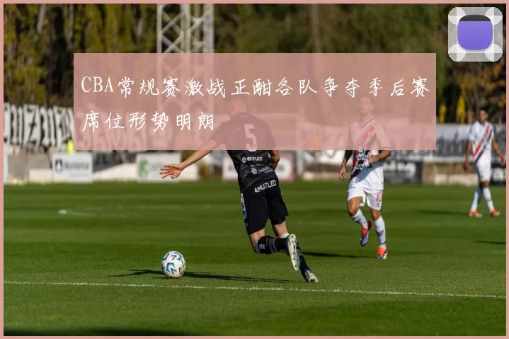 CBA常规赛激战正酣各队争夺季后赛席位形势明朗