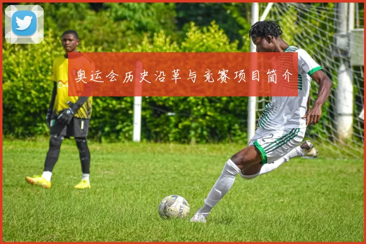 奥运会历史沿革与竞赛项目简介