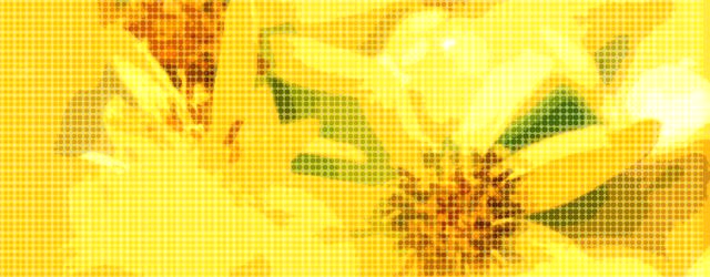 アクセサリーの大切さについて