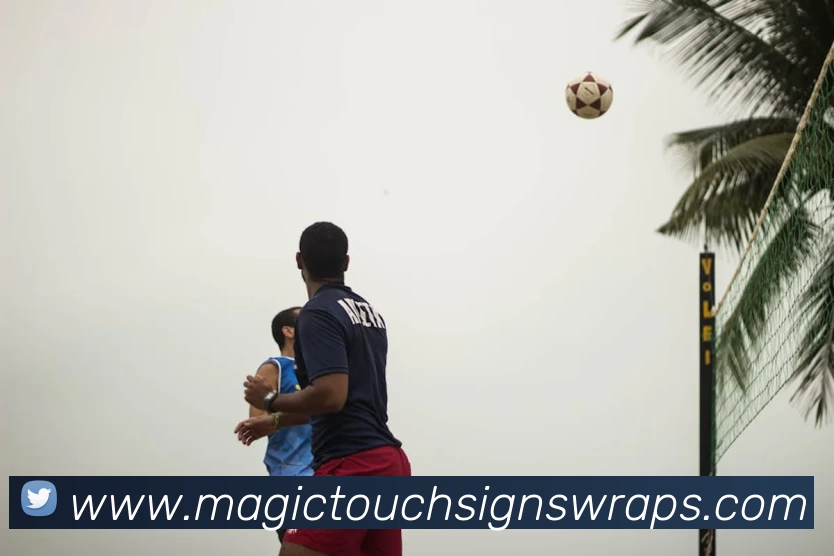 九游j9官网首页入口APP 封面图